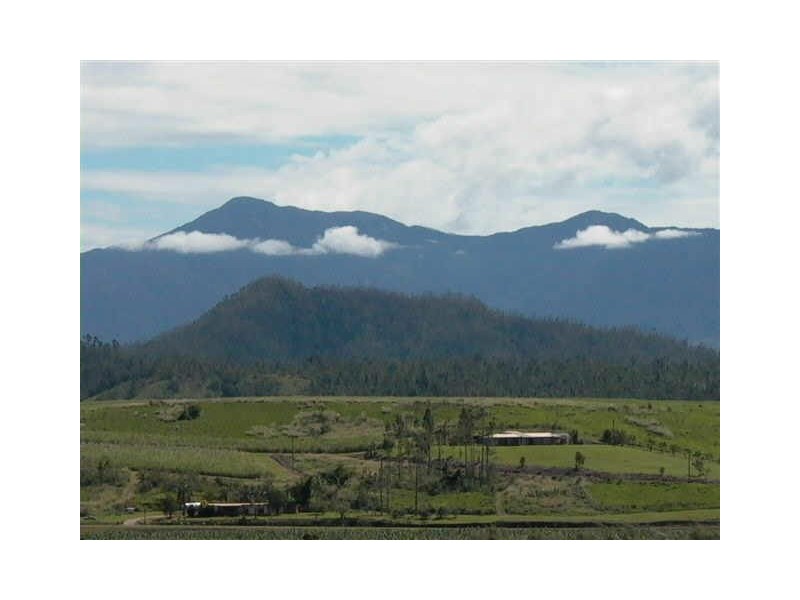 Lot 3 Stoter Road, Innisfail QLD 4860