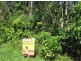 Lot 16 Rainforest Drive, Innisfail QLD 4860