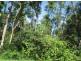 Lot 16 Rainforest Drive, Innisfail QLD 4860