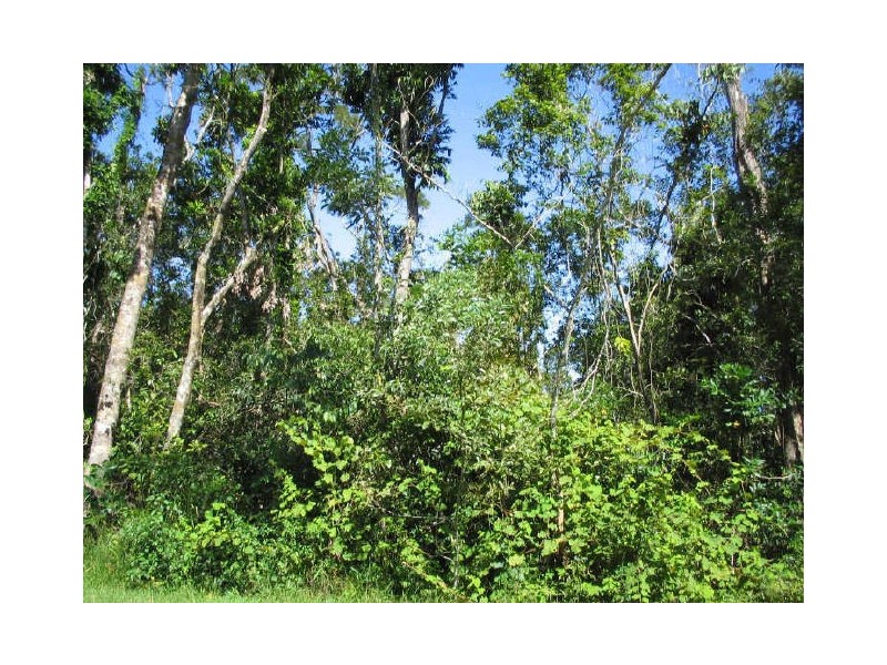 Lot 16 Rainforest Drive, Innisfail QLD 4860