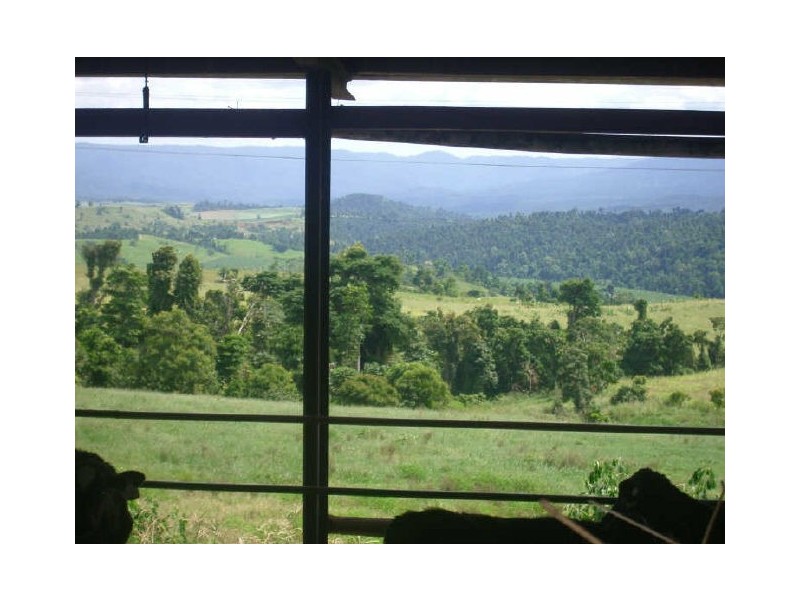 632 Palmerston Hwy, Innisfail QLD 4860