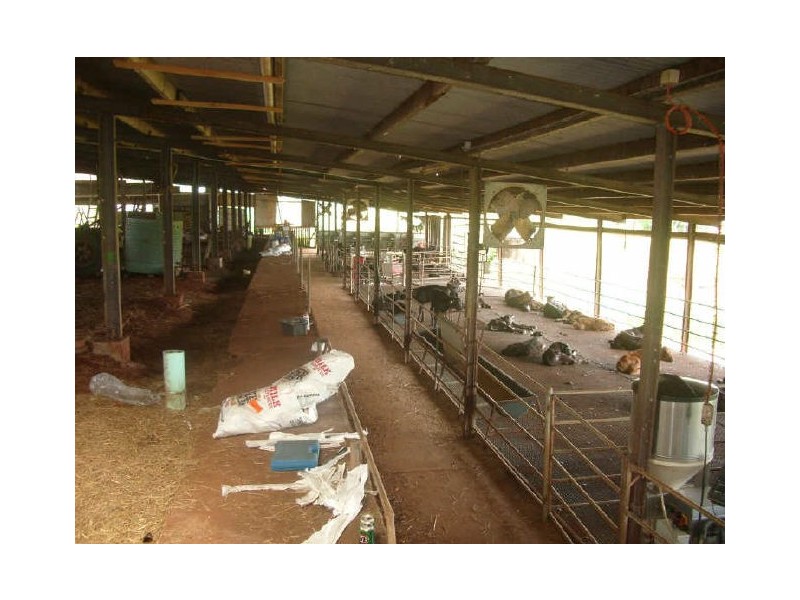 632 Palmerston Hwy, Innisfail QLD 4860