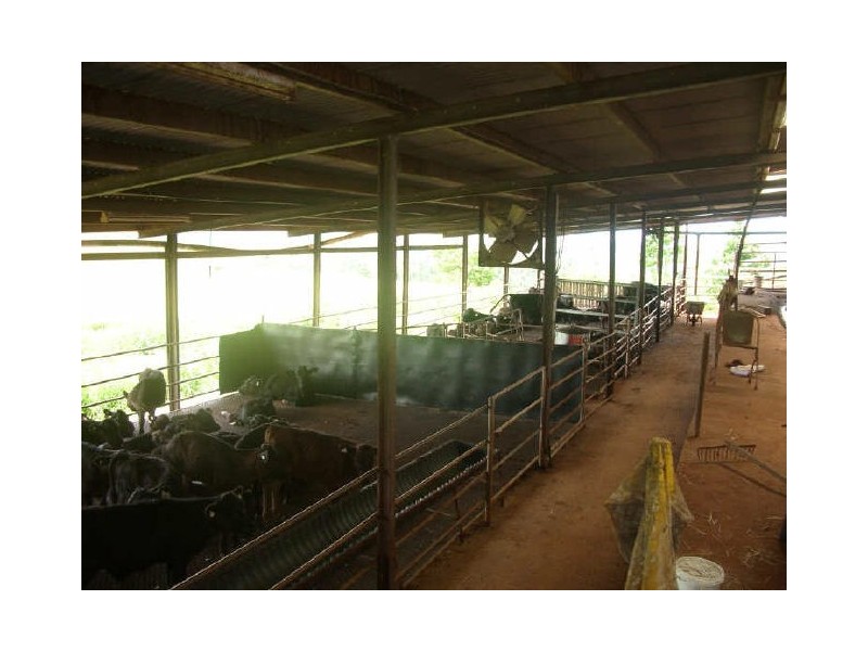 632 Palmerston Hwy, Innisfail QLD 4860