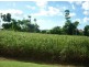 1 Japoon Road, Innisfail QLD 4860
