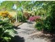 381 Flying Fish Point Rd, Innisfail QLD 4860