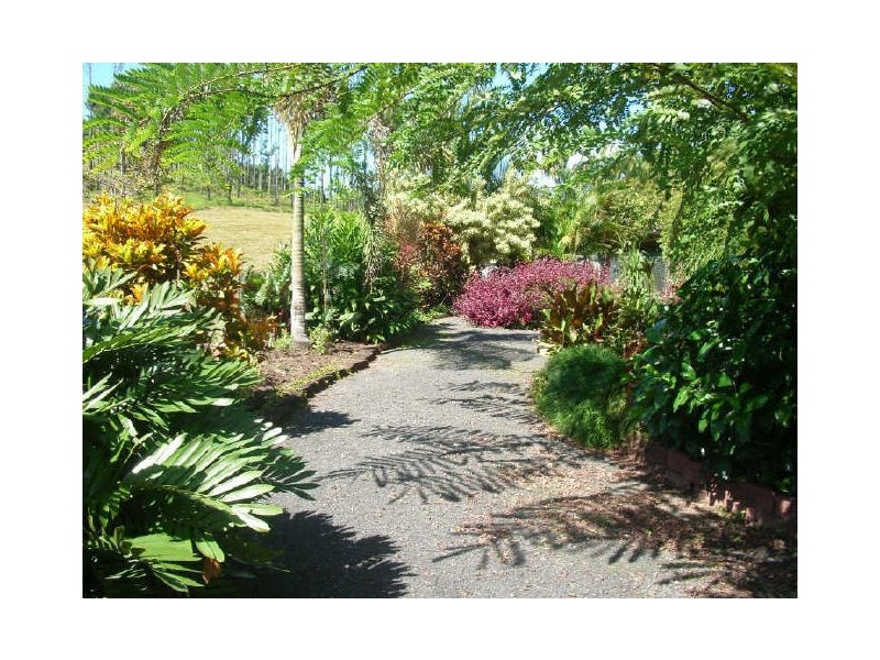 381 Flying Fish Point Rd, Innisfail QLD 4860