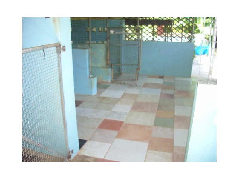 381 Flying Fish Point Rd, Innisfail QLD 4860