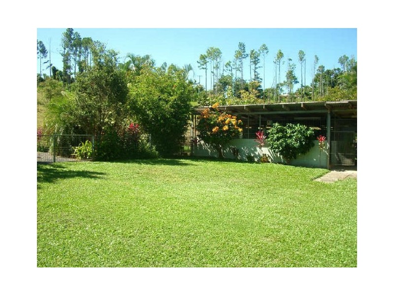 381 Flying Fish Point Rd, Innisfail QLD 4860