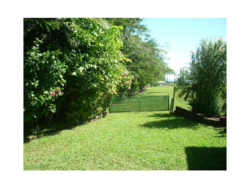 381 Flying Fish Point Rd, Innisfail QLD 4860