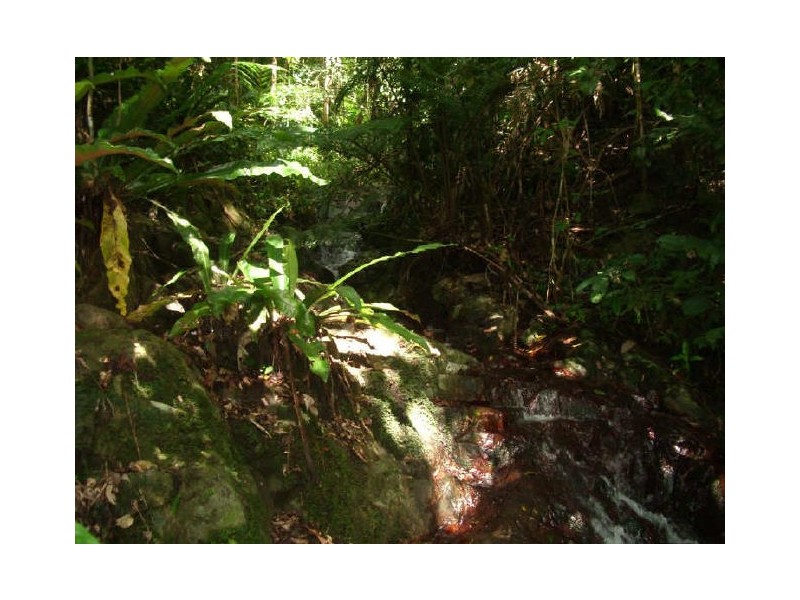 144 Azzopardi Rd, Innisfail QLD 4860