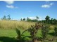 530 Palmerston Highway, Innisfail QLD 4860
