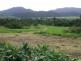 Lot 8 Azzopardi road, Innisfail QLD 4860