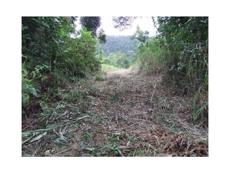 Lot 8 Azzopardi road, Innisfail QLD 4860