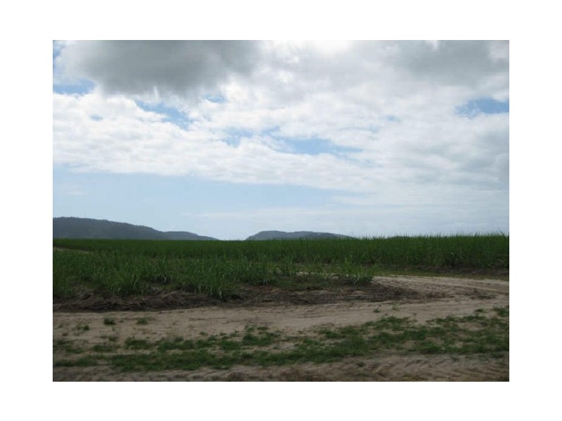 406 Harbour Rd, Innisfail QLD 4860