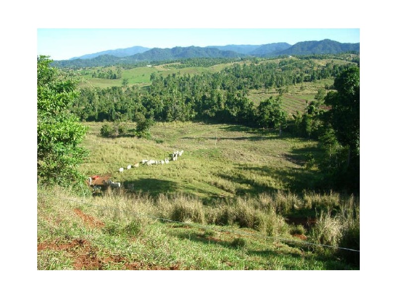 Utchee Creek Road, Innisfail QLD 4860