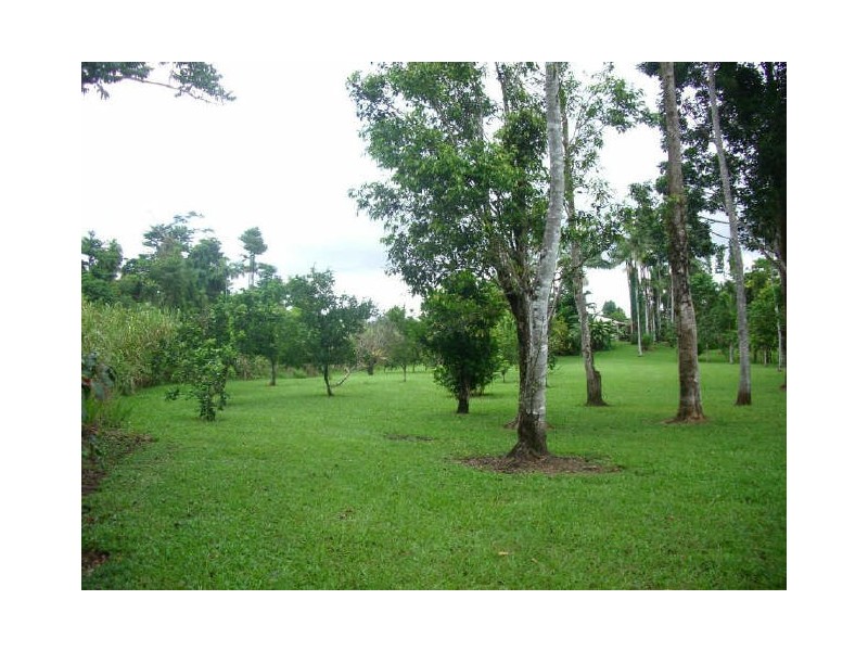 lot 1 Dinner Creek Road, Innisfail QLD 4860