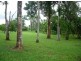 lot 1 Dinner Creek Road, Innisfail QLD 4860