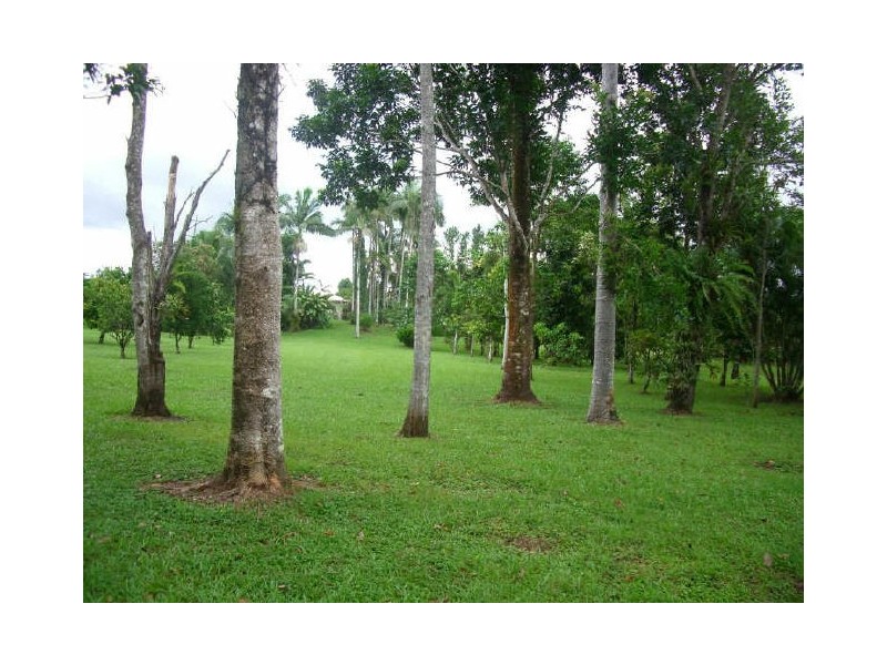 lot 1 Dinner Creek Road, Innisfail QLD 4860