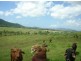 73 Bruce Highway, Innisfail QLD 4860
