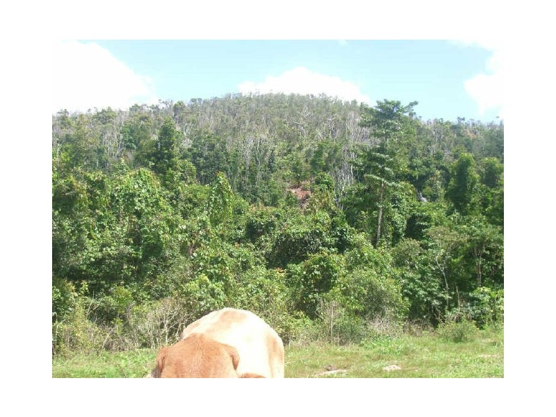 73 Bruce Highway, Innisfail QLD 4860