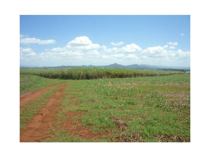 Proposed Kirks Road, Innisfail QLD 4860