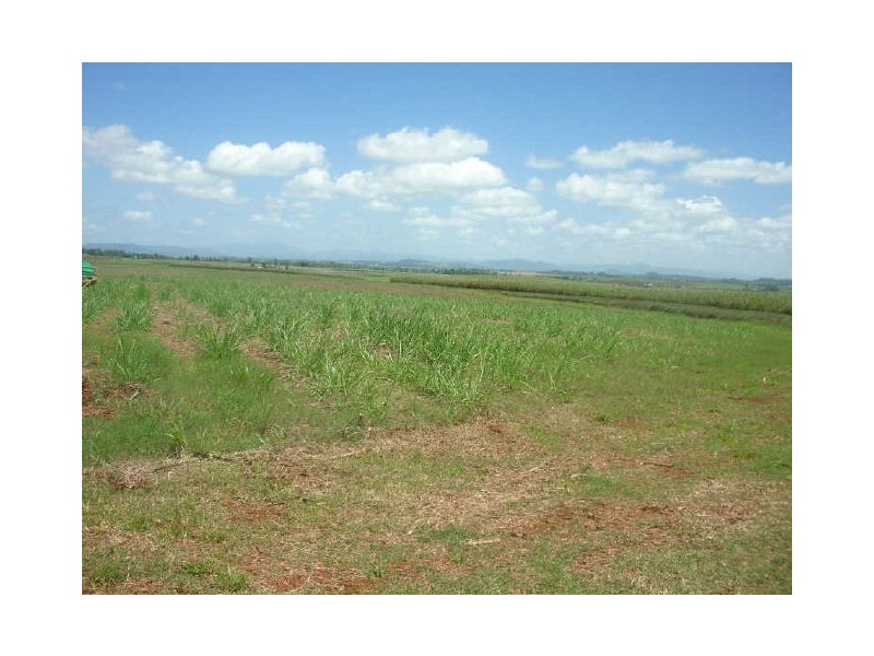 Proposed Kirks Road, Innisfail QLD 4860