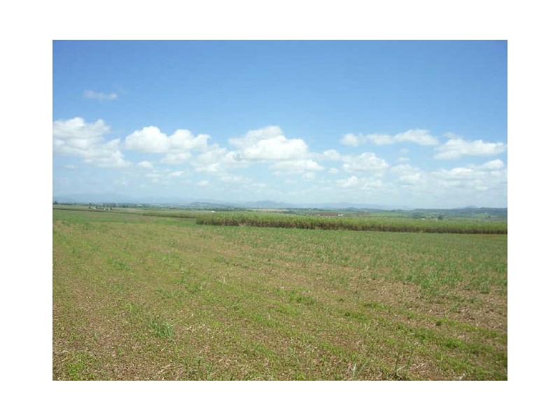 Proposed Kirks Road, Innisfail QLD 4860