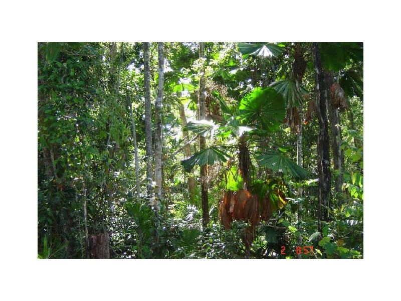 Lot 66 Greendale Court, Innisfail QLD 4860