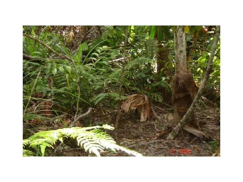 Lot 66 Greendale Court, Innisfail QLD 4860