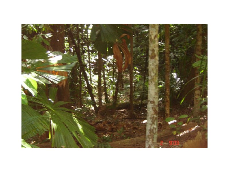 Lot 66 Greendale Court, Innisfail QLD 4860