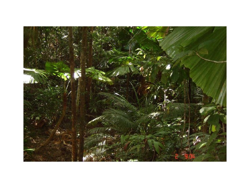 Lot 66 Greendale Court, Innisfail QLD 4860