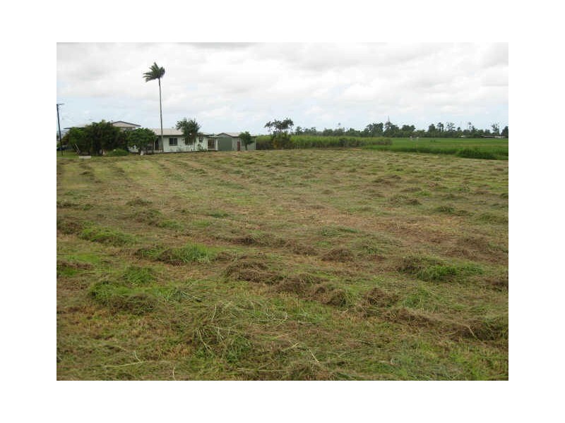 Meyer Avenue, Innisfail QLD 4860