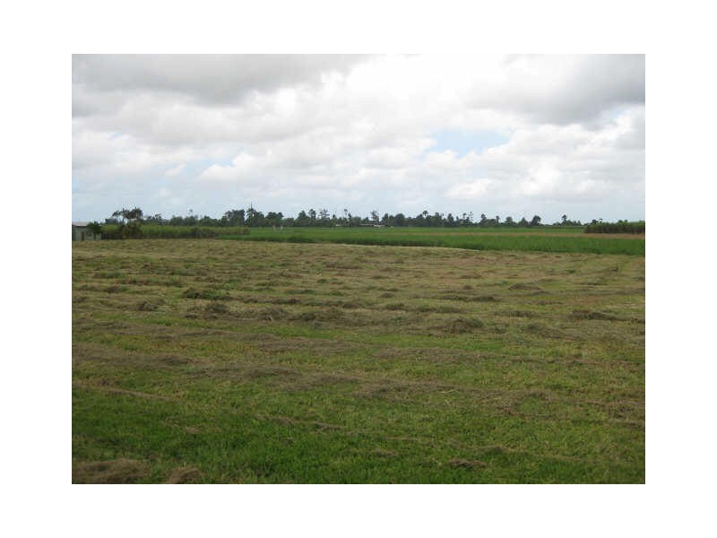 Meyer Avenue, Innisfail QLD 4860