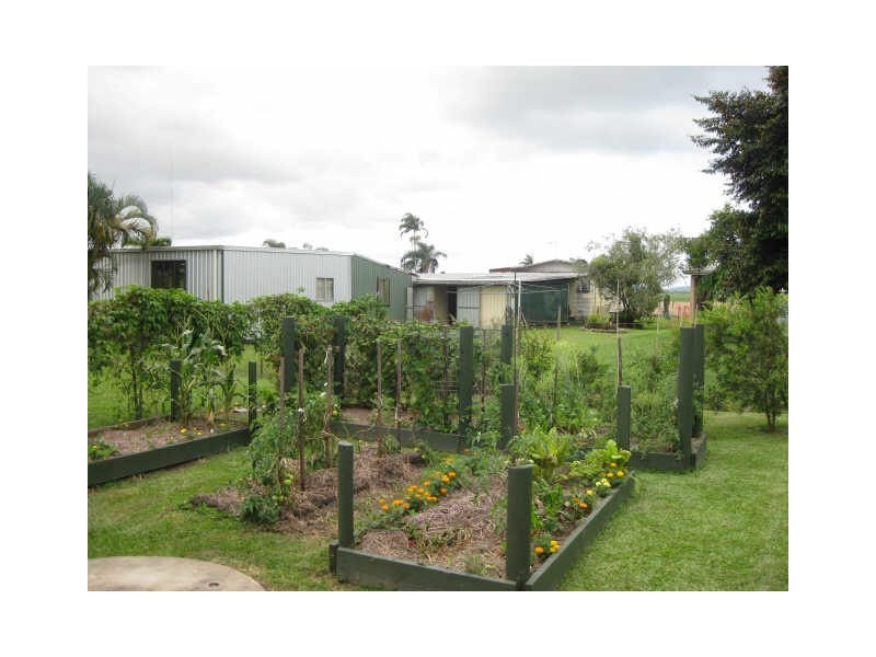 5 Peregrine Street, Innisfail QLD 4860