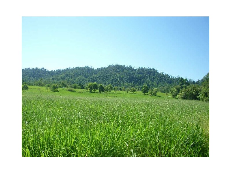 423 Mena Creek Road, Innisfail QLD 4860