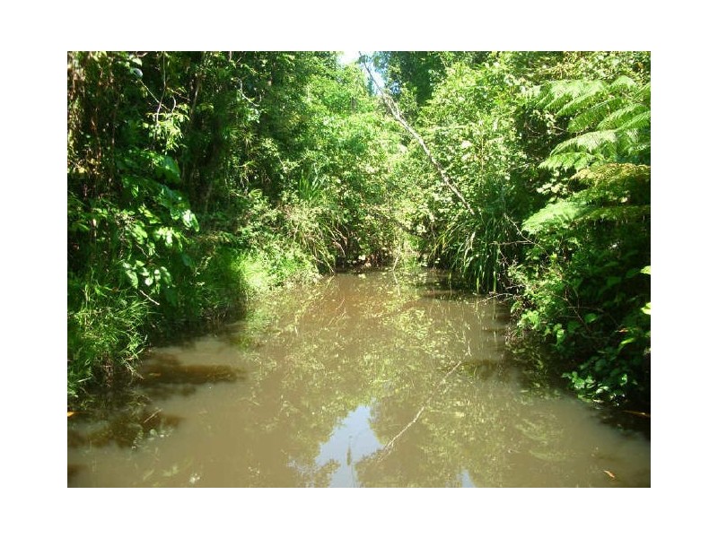 423 Mena Creek Road, Innisfail QLD 4860