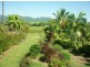 423 Mena Creek Road, Innisfail QLD 4860