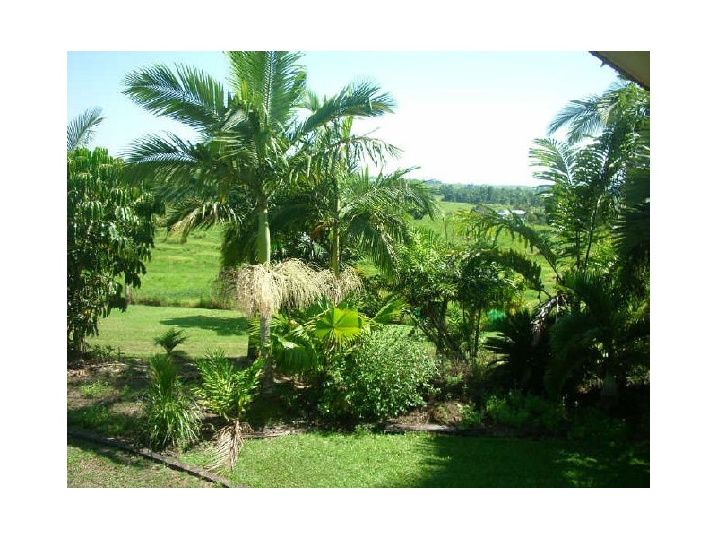 423 Mena Creek Road, Innisfail QLD 4860