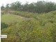 60 Alf Dobson Road, Narangba QLD 4504