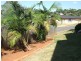 41 Ngungun Parade, Narangba QLD 4504