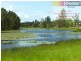 19 Carabeen Court, Narangba QLD 4504