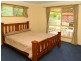 43 Tuckeroo Street, Narangba QLD 4504