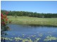 540 Cove Road, Bellthorpe QLD 4514
