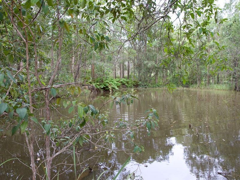 287 Narangba Road, Kurwongbah QLD 4503