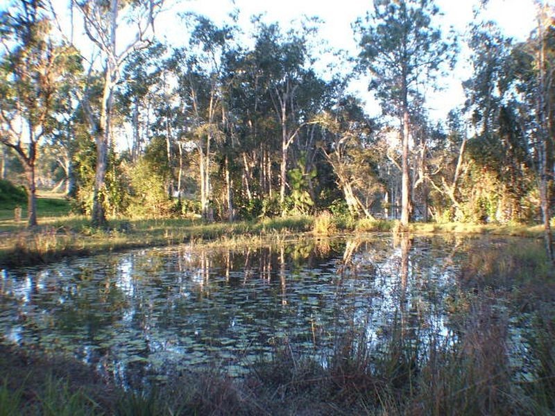 176 Callaghan Road, Narangba QLD 4504