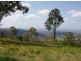 Ocean View QLD 4521