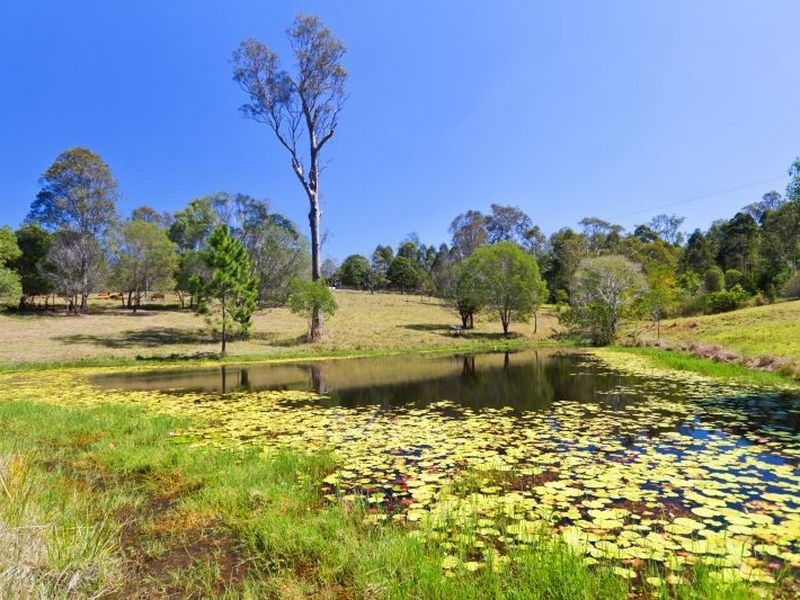 324 Forest Hills Drive, Morayfield QLD 4506