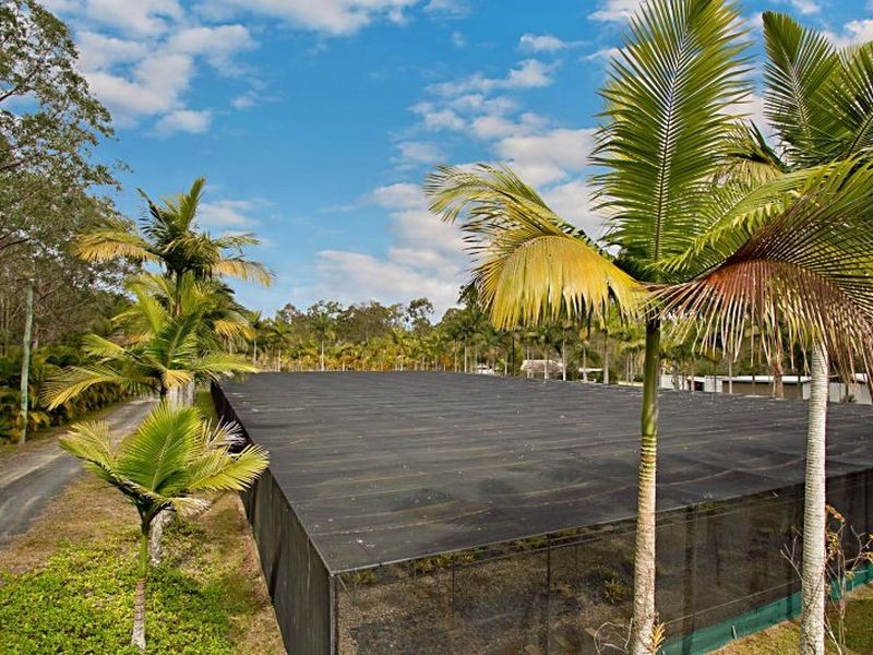 162 McPhail Road, Narangba QLD 4504