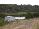 Snowy River Proteas/ Cape Conran Road, Marlo VIC 3888