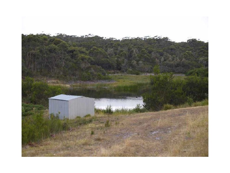 Snowy River Proteas/ Cape Conran Road, Marlo VIC 3888